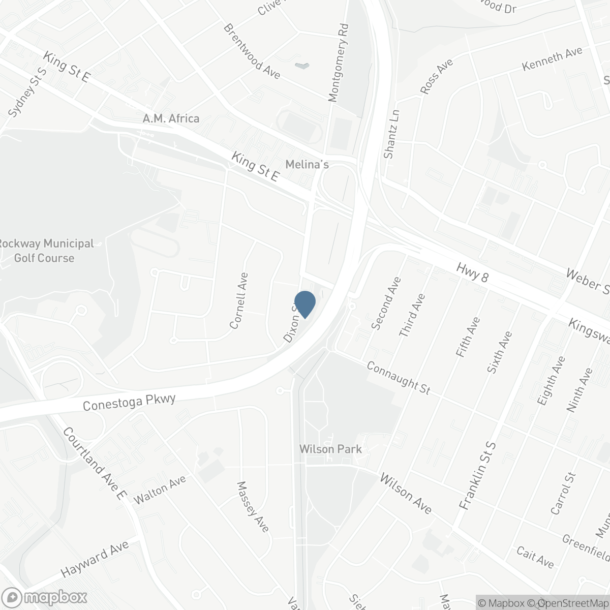 105 DIXON STREET, Kitchener, Ontario N2G 3E8